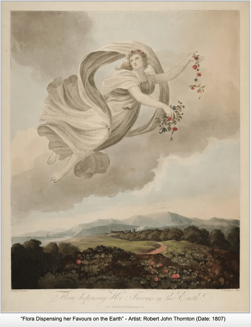 flora.png