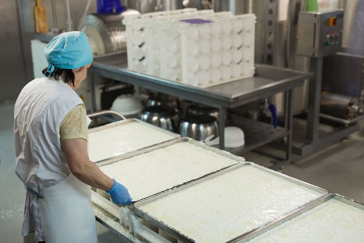 Choosing ERP For Food Manufacturing: Shop Floor Features That Matter